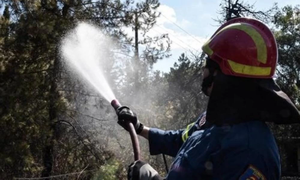 Μέτρα πυροπροστασίας μέσα στο καλοκαίρι - Δείτε αναλυτικά